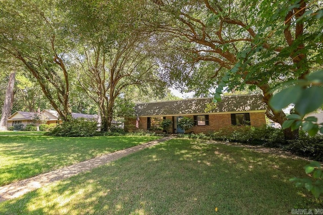 ranch-style house featuring a front yard