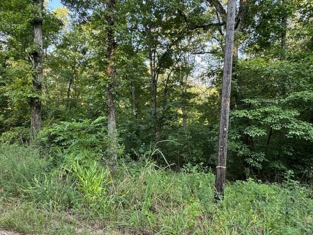 Woodland Hills Rd, Hardy AR, 72542 land for sale