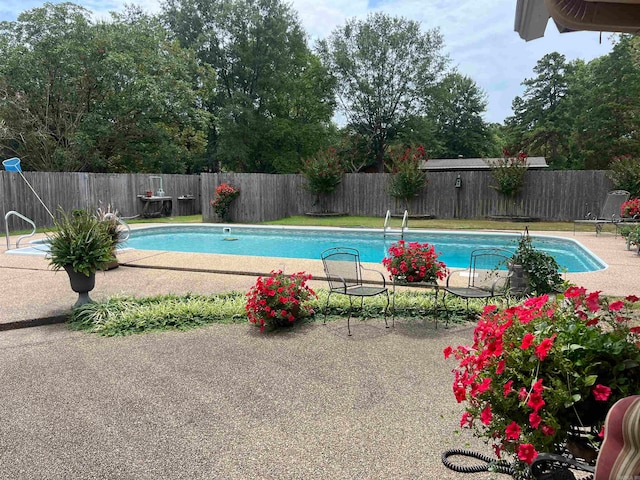 view of swimming pool with a patio