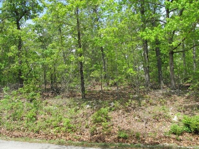 0000 Gin Mill Rd, Ash Flat AR, 72513 land for sale