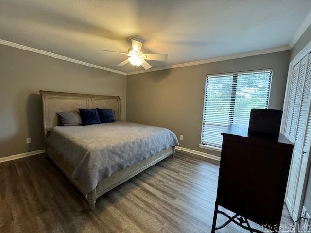 bedroom featuring dark wood-type flooring, ceiling fan, and ornamental molding