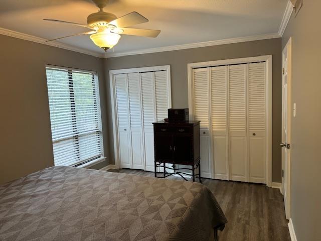 bedroom featuring dark hardwood / wood-style flooring, ceiling fan, crown molding, and multiple closets