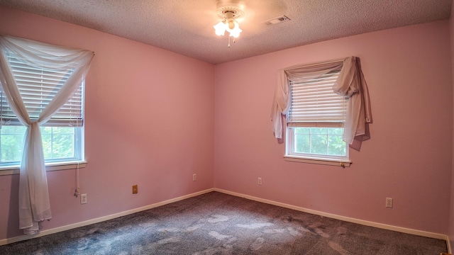 carpeted spare room with a wealth of natural light and a textured ceiling