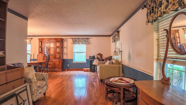 living room featuring wood-type flooring, ornamental molding, and a textured ceiling