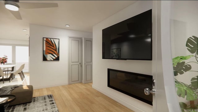 living room with ceiling fan and light hardwood / wood-style flooring