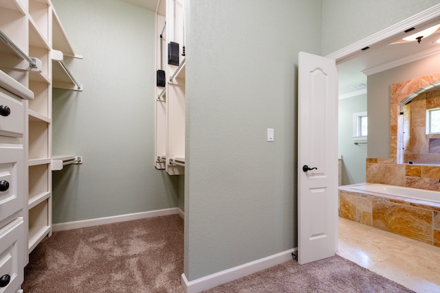 spacious closet with carpet