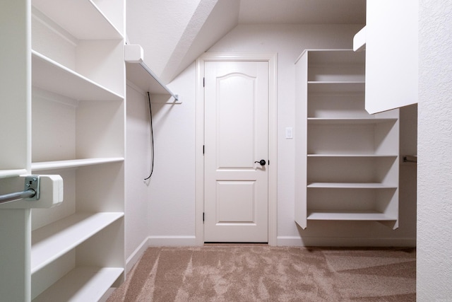 spacious closet featuring carpet floors