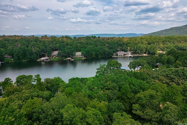 property view of water