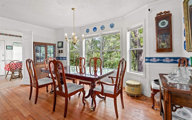 dining room featuring an inviting chandelier, a healthy amount of sunlight, and light wood-type flooring