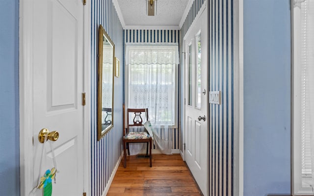 corridor featuring a healthy amount of sunlight, crown molding, dark wood-type flooring, and a textured ceiling