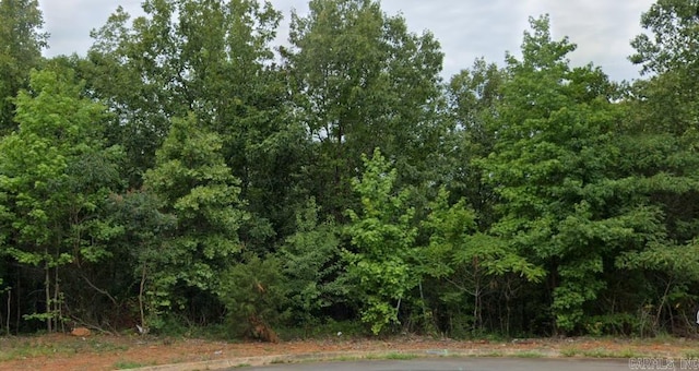 1 Summit View Dr, Alexander, AR 72002