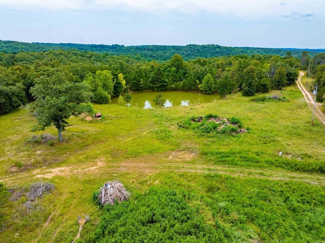 0 Peter Martin Hill Rd, Cave City AR, 72521 land for sale