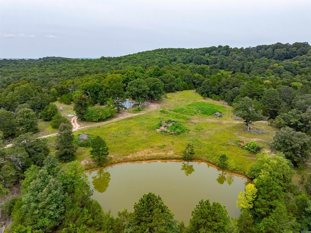 Listing photo 3 for 0 Peter Martin Hill Rd, Cave City AR 72521