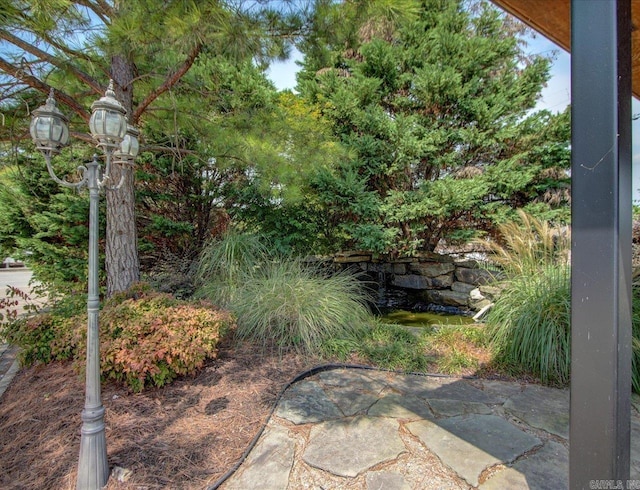 view of yard with a patio area