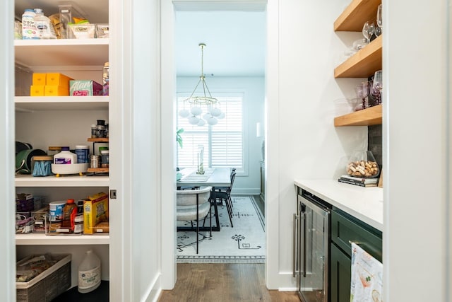 pantry with wine cooler