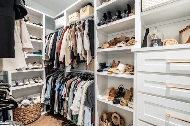 spacious closet with hardwood / wood-style floors