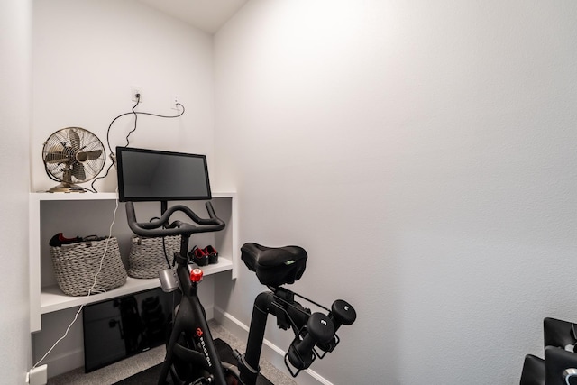 workout room featuring carpet flooring