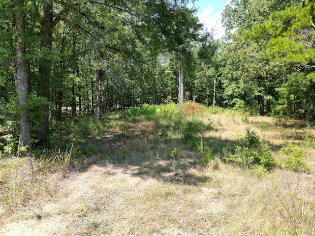 Address Not Disclosed, Pine Bluff AR, 71603 land for sale