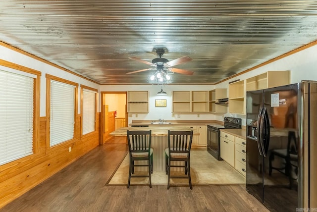 kitchen with sink, ceiling fan, hardwood / wood-style floors, and black appliances