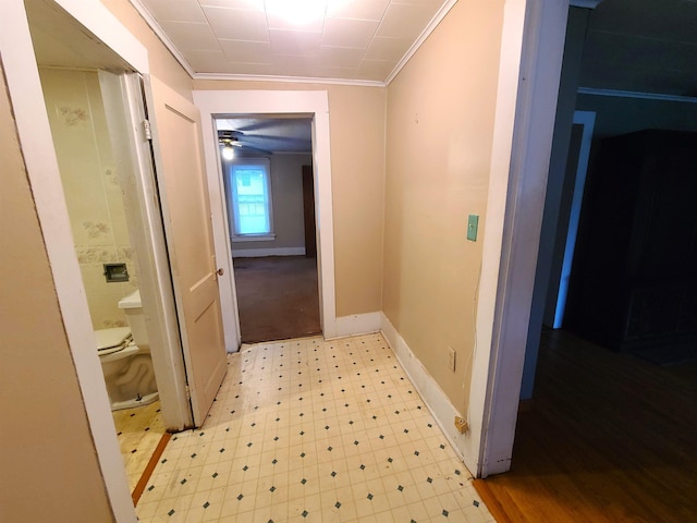 187 N Monroe St, Piggott, AR 72454 - corridor with ornamental molding