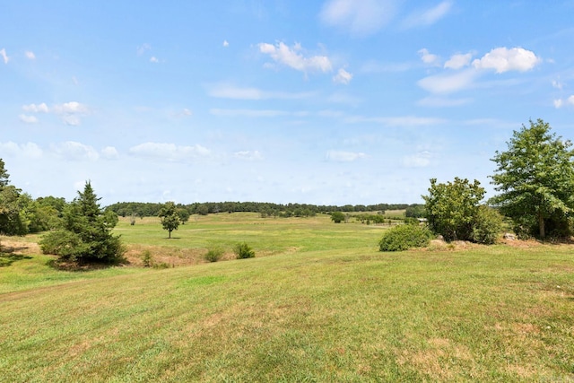 view of landscape with a rural view