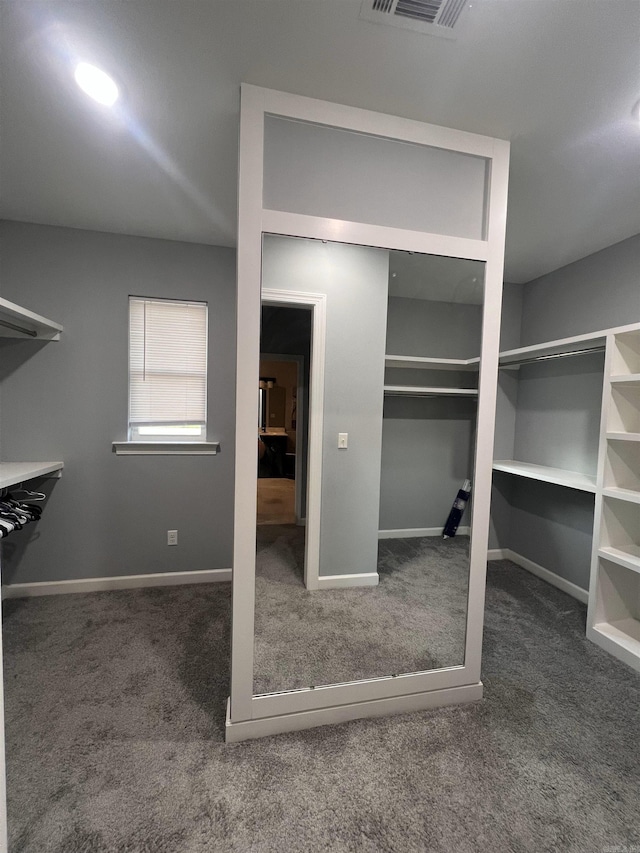 spacious closet with dark colored carpet