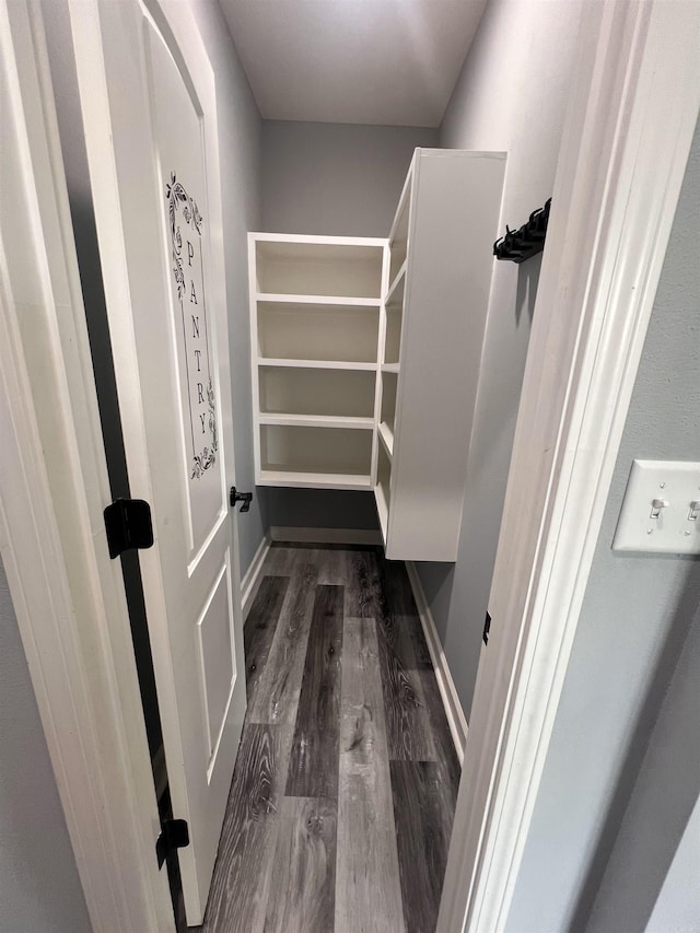 spacious closet with dark hardwood / wood-style flooring