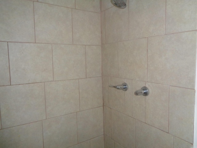 interior details with tiled shower