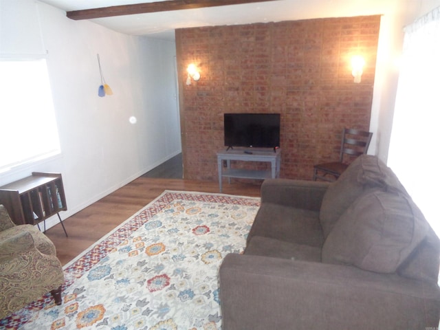 living room with hardwood / wood-style flooring, beam ceiling, radiator heating unit, and a healthy amount of sunlight