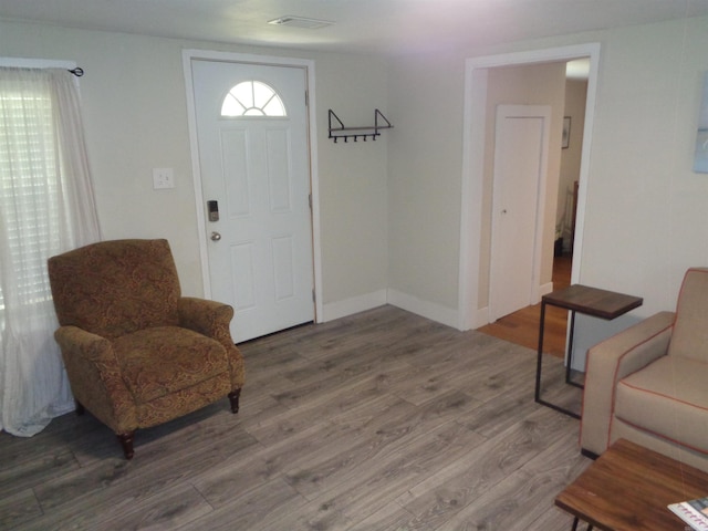 foyer with wood-type flooring