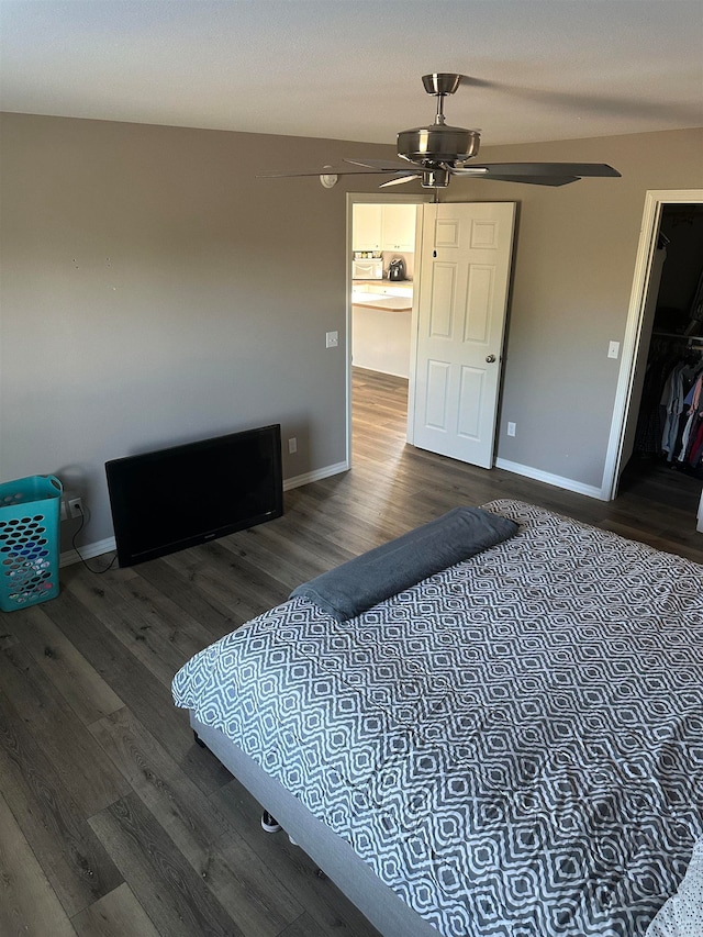 bedroom featuring a walk in closet, a closet, ceiling fan, and hardwood / wood-style flooring