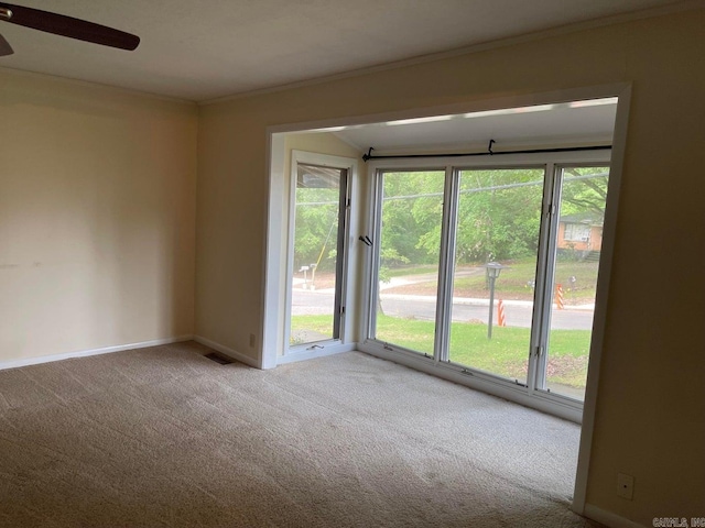 spare room featuring ceiling fan, carpet floors, and ornamental molding