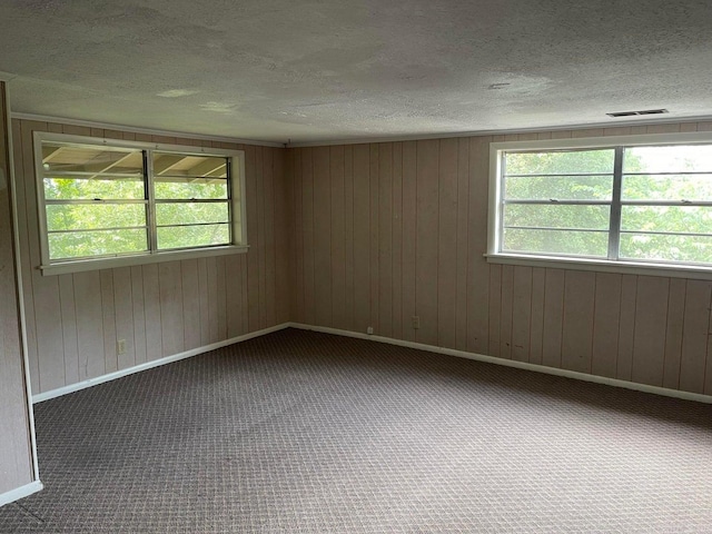 unfurnished room with a textured ceiling, plenty of natural light, and carpet floors