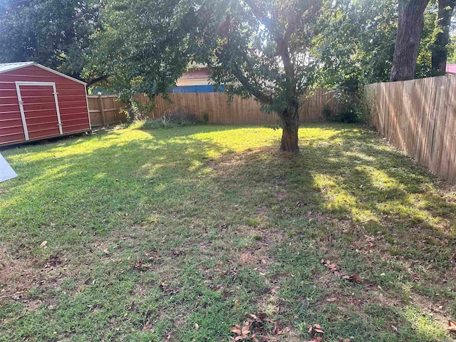 view of yard with a storage unit