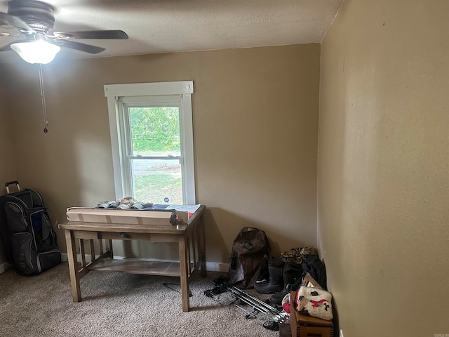 misc room with ceiling fan, a textured ceiling, and carpet floors