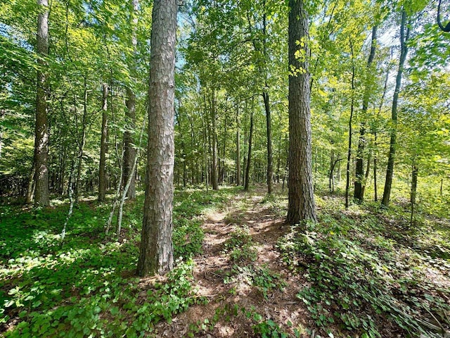 1499 Sutterfield Rd, Fox, AR 72051 - view of wooded area