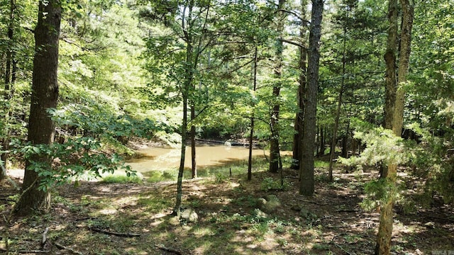1499 Sutterfield Rd, Fox, AR 72051 - view of wooded area