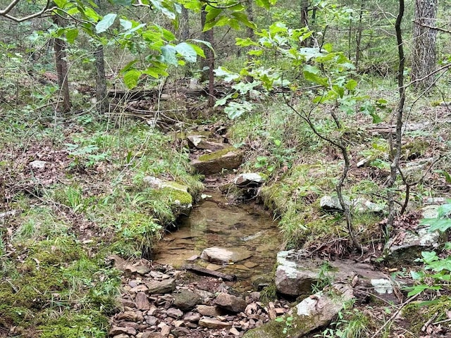 1499 Sutterfield Rd, Fox, AR 72051 - view of nature