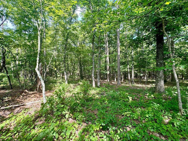 1499 Sutterfield Rd, Fox, AR 72051 - view of wooded area