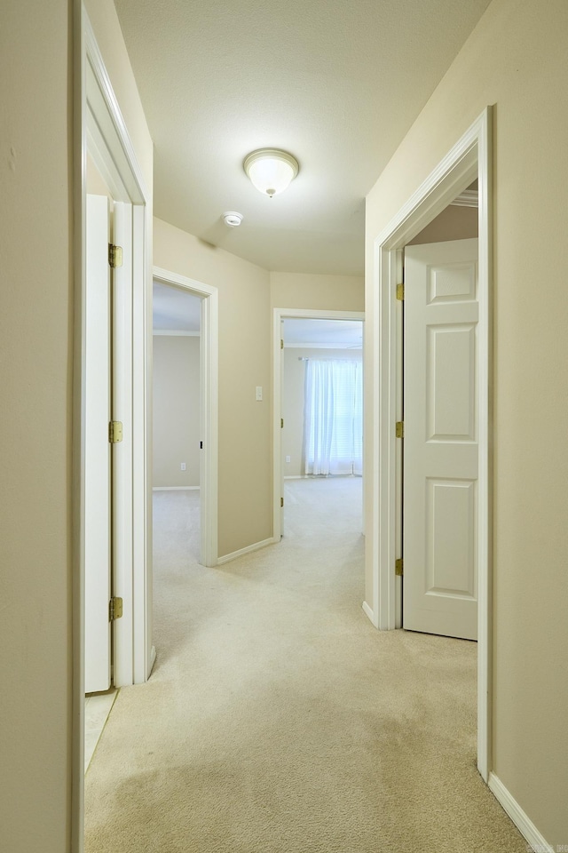 hallway featuring light colored carpet