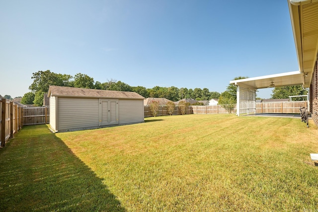 view of yard featuring a shed