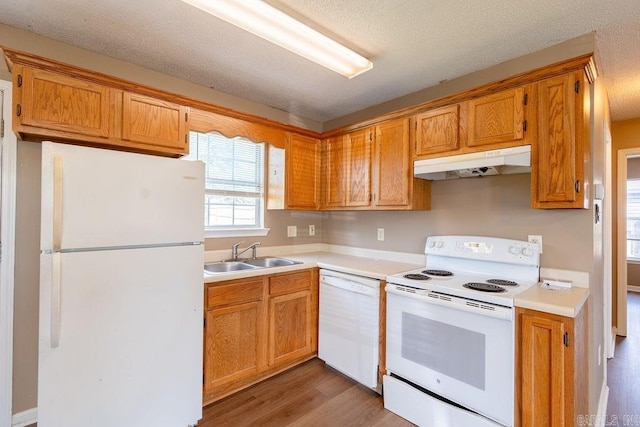 kitchen featuring sink, hardwood / wood-style flooring, a textured ceiling, and white appliances