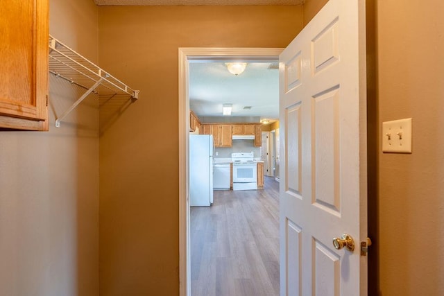 walk in closet featuring light hardwood / wood-style floors