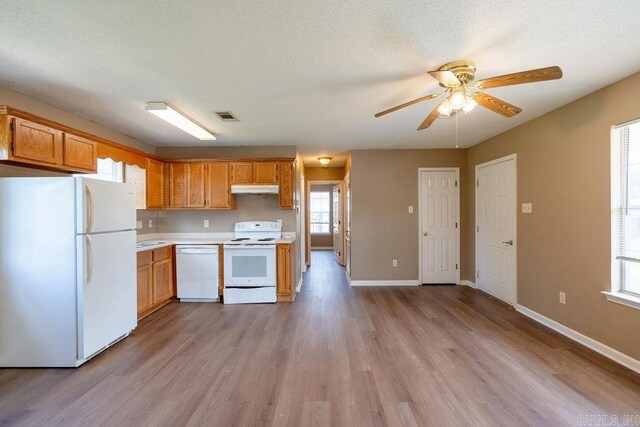 kitchen featuring ceiling fan, light hardwood / wood-style flooring, a textured ceiling, and white appliances