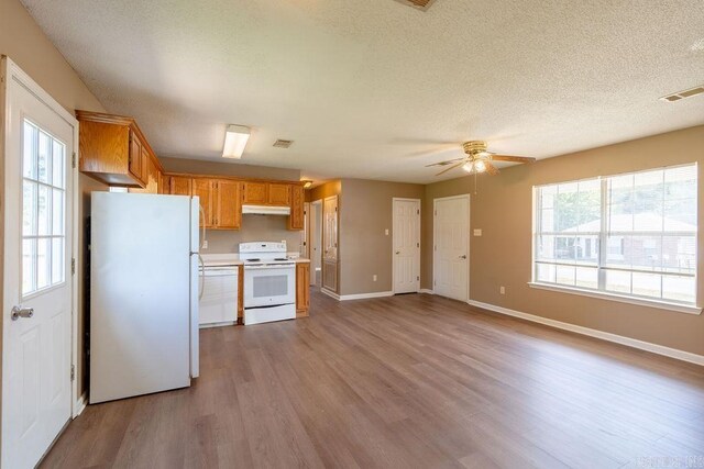 kitchen featuring ceiling fan, hardwood / wood-style flooring, white appliances, and a healthy amount of sunlight