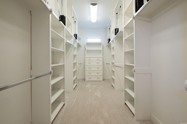 walk in closet with light colored carpet