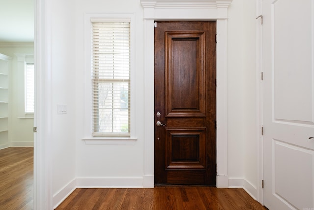 foyer featuring a wealth of natural light and dark hardwood / wood-style flooring