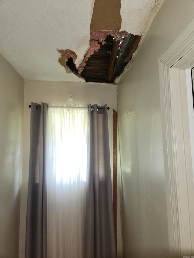 details with a textured ceiling