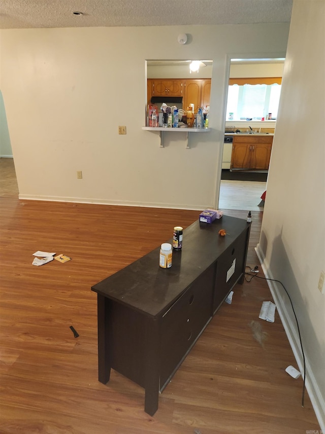 interior space featuring hardwood / wood-style floors, sink, and a textured ceiling