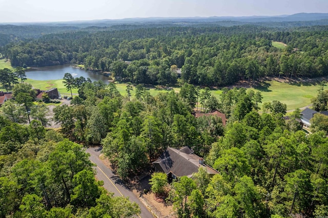 bird's eye view with a water view and a forest view
